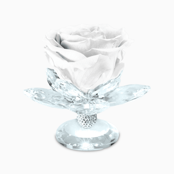 Bomboniera Rosa Stabilizzata su Alzatina Ninfea in Cristal per Comunione, Matrimonio, Anniversario