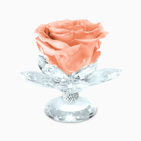 Bomboniera Rosa Stabilizzata su Alzatina Ninfea in Cristal per Comunione, Matrimonio, Anniversario