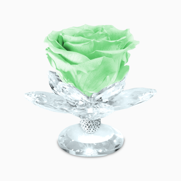 Bomboniera Rosa Stabilizzata su Alzatina Ninfea in Cristal per Comunione, Matrimonio, Anniversario