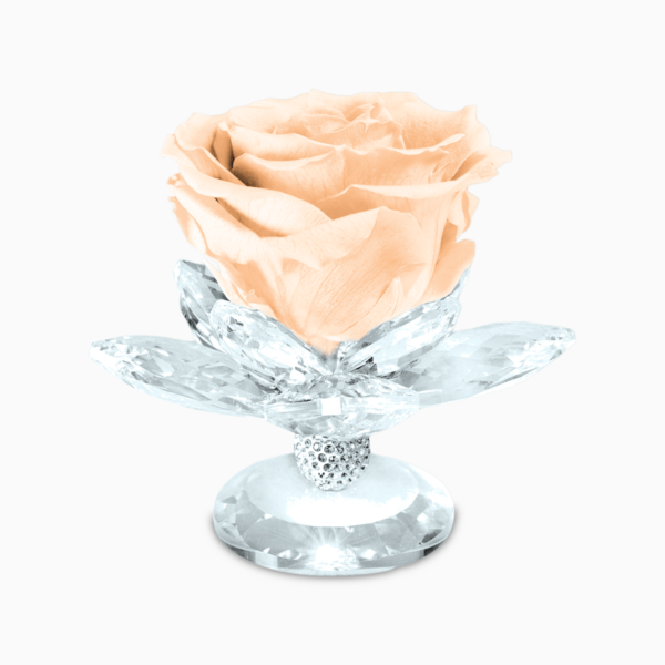 Bomboniera Rosa Stabilizzata su Alzatina Ninfea in Cristal per Comunione, Matrimonio, Anniversario