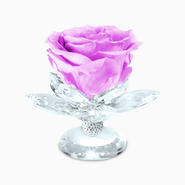 Bomboniera Rosa Stabilizzata su Alzatina Ninfea in Cristal per Comunione, Matrimonio, Anniversario