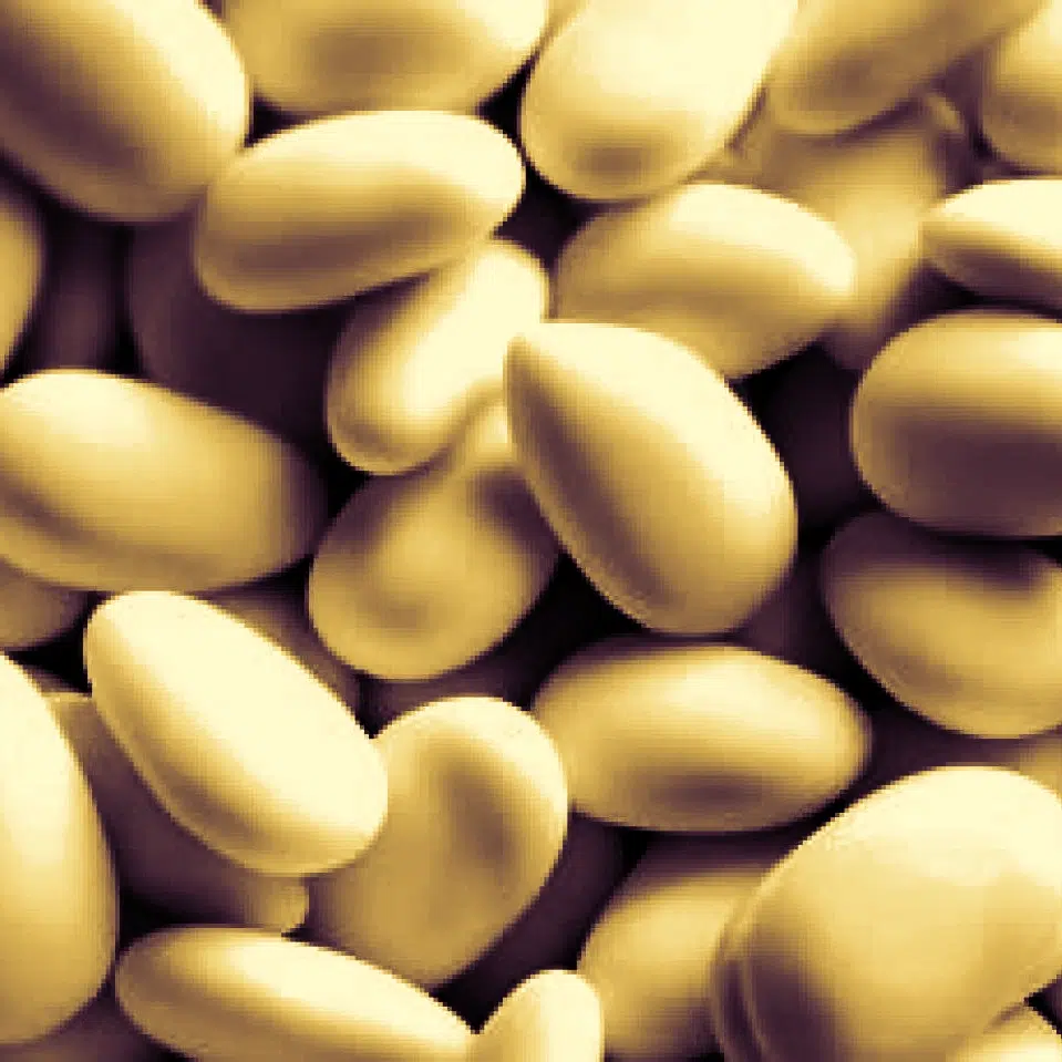 Portaconfetti Bomboniera Angelo che prega in vetro