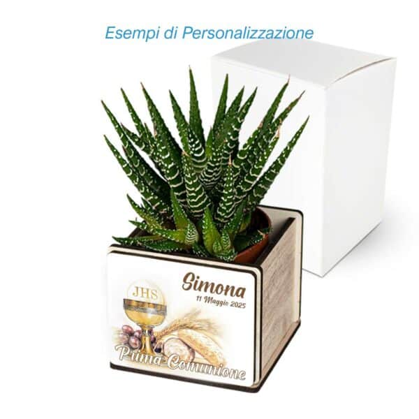 Bomboniera Comunione Piantina Grassa Vasetto Personalizzabile - immagine 2