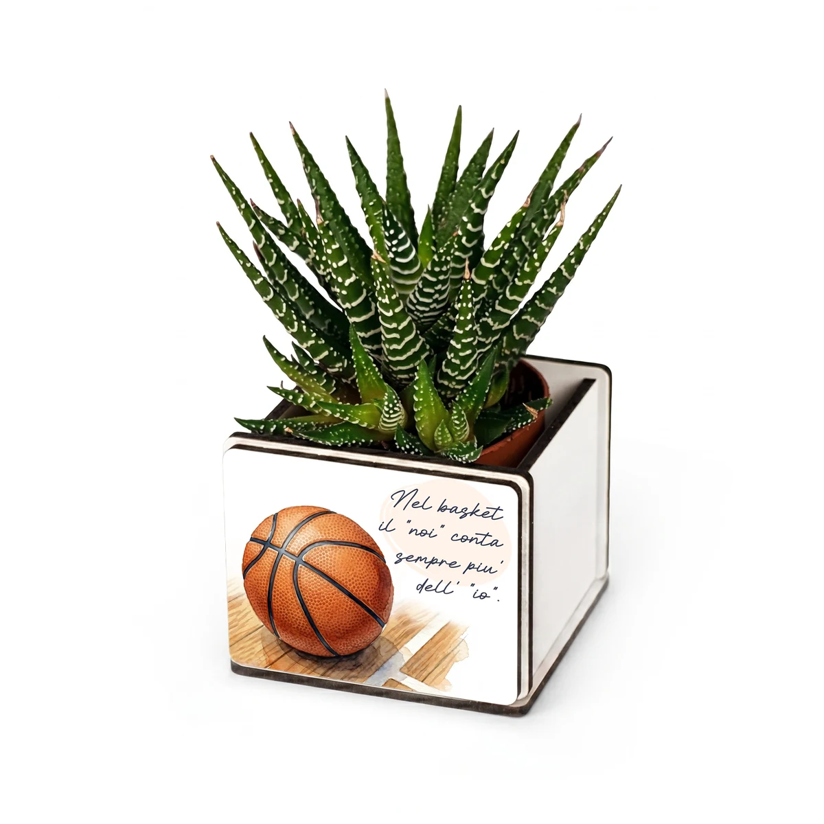 Bomboniera pianta grassa a tema basket con pallone da basket, personalizzabile con nome