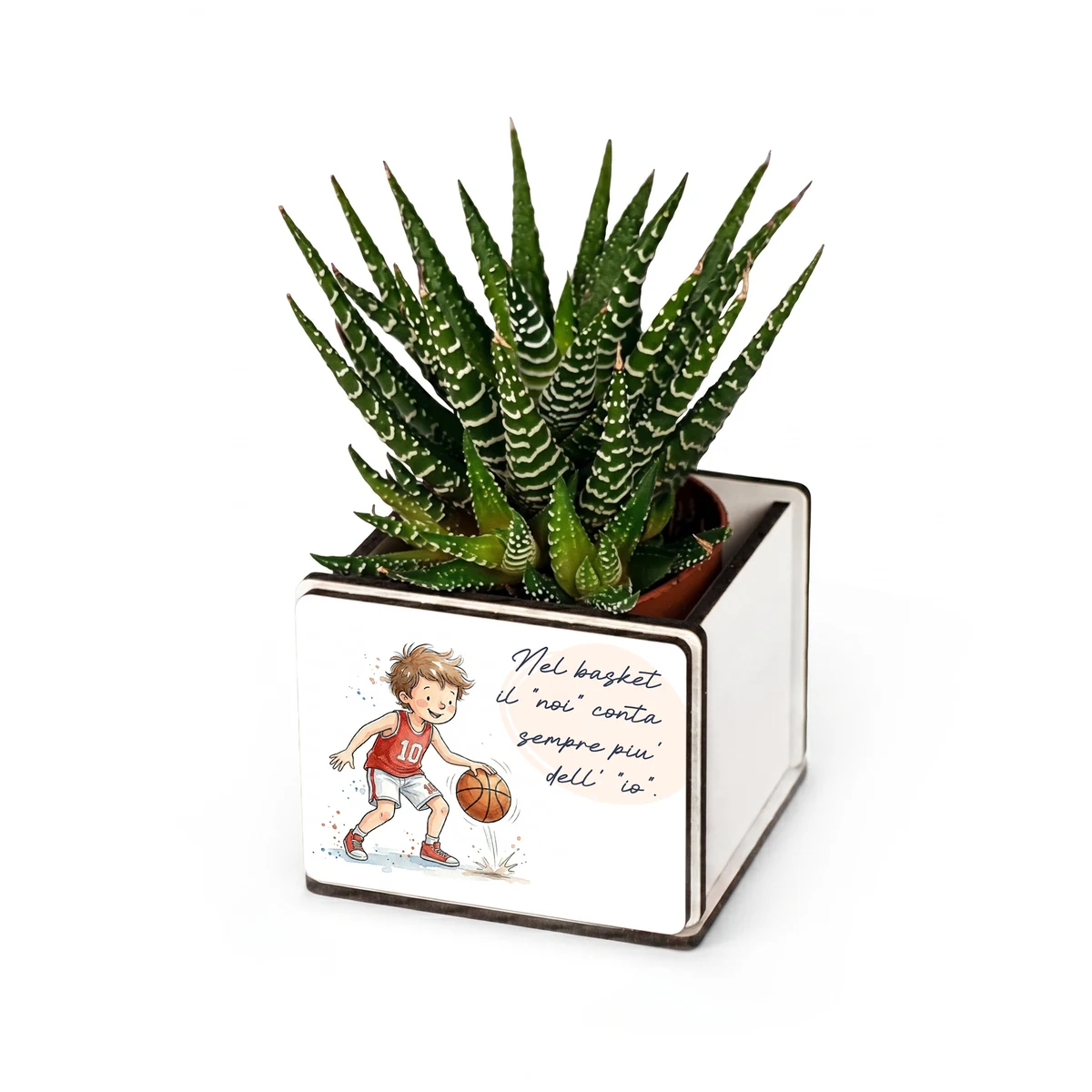 Bomboniera pianta grassa a tema basket con giovane cestista che palleggia, personalizzabile