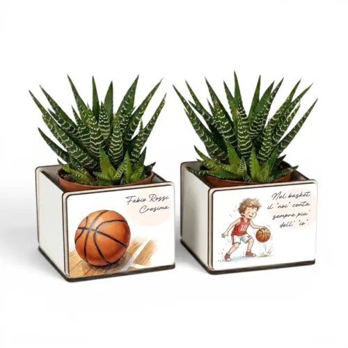 Bomboniere pianta grassa basket personalizzate con nome ed evento della coppia