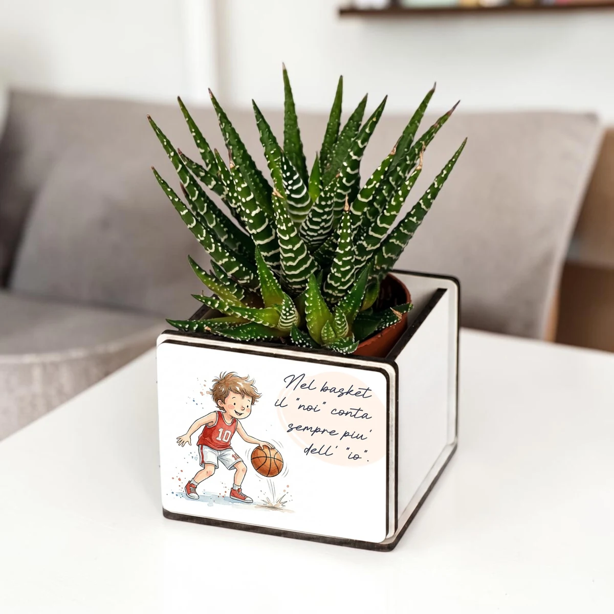 Bomboniere pianta grassa basket come segnaposto o regalo per giovani sportivi