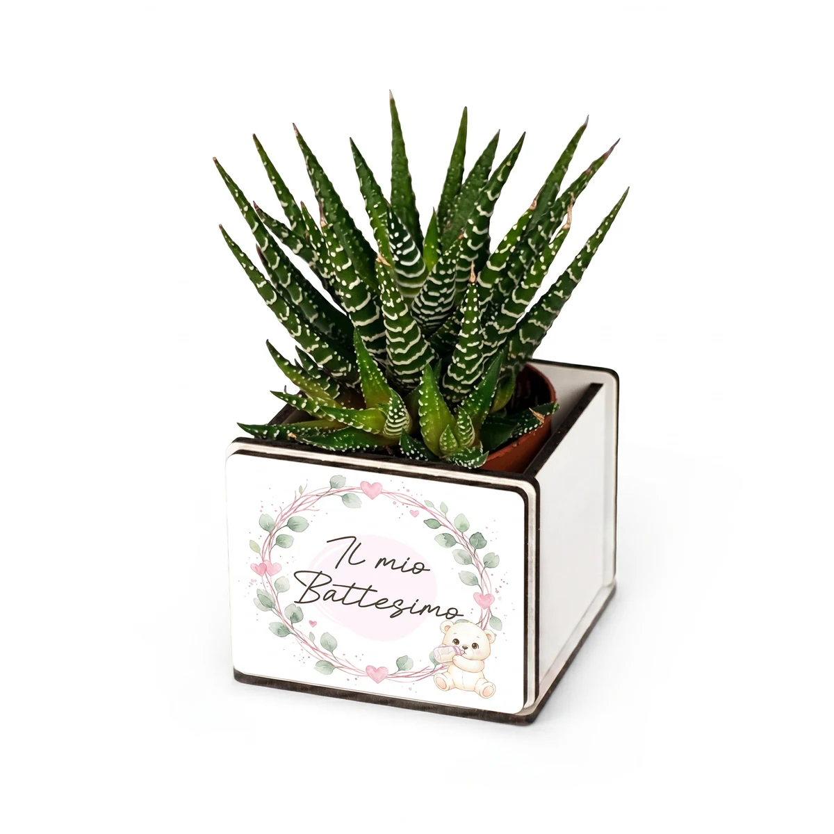 Bomboniera pianta grassa battesimo bimba con orsetto rosa e ghirlanda, personalizzabile