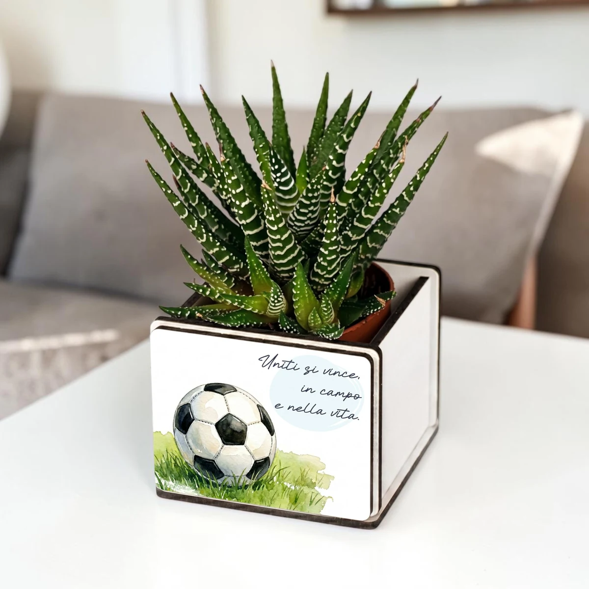 Bomboniere pianta grassa calcio come segnaposto o regalo per giovani sportivi