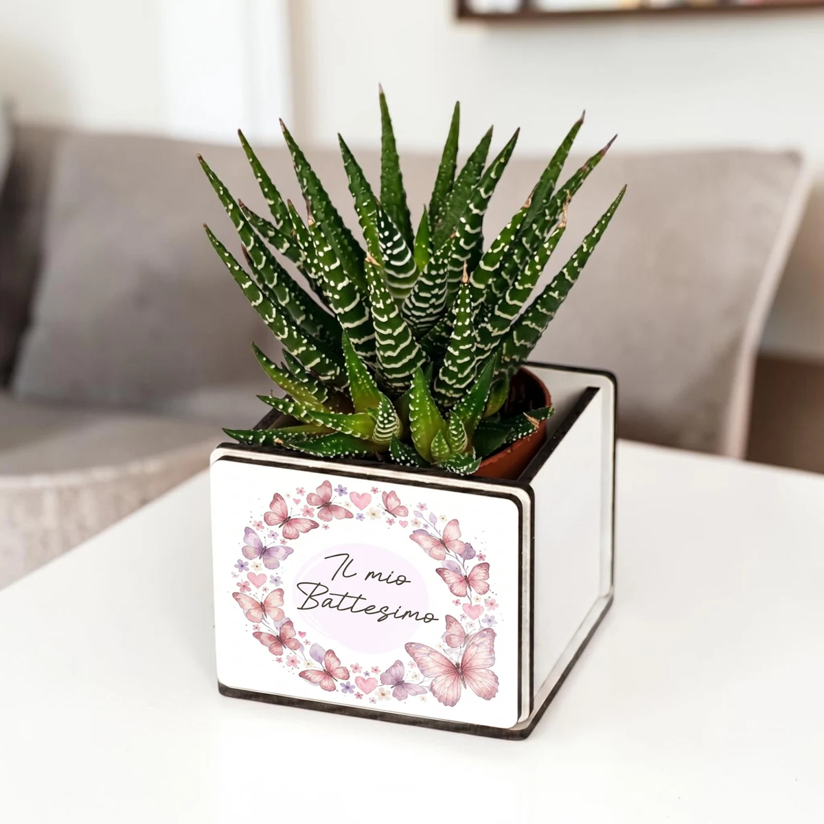 Bomboniera pianta grassa con farfalle rosa ambientata, idea regalo