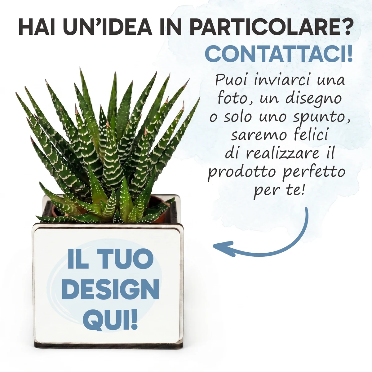 Vaso della bomboniera pianta grassa personalizzabile con nome, data o design sul lato frontale